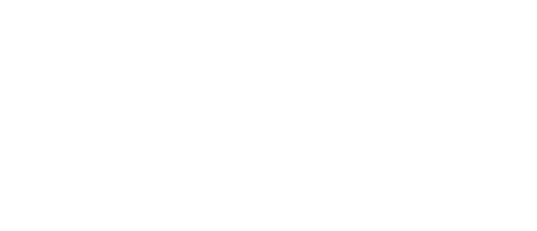 VISION